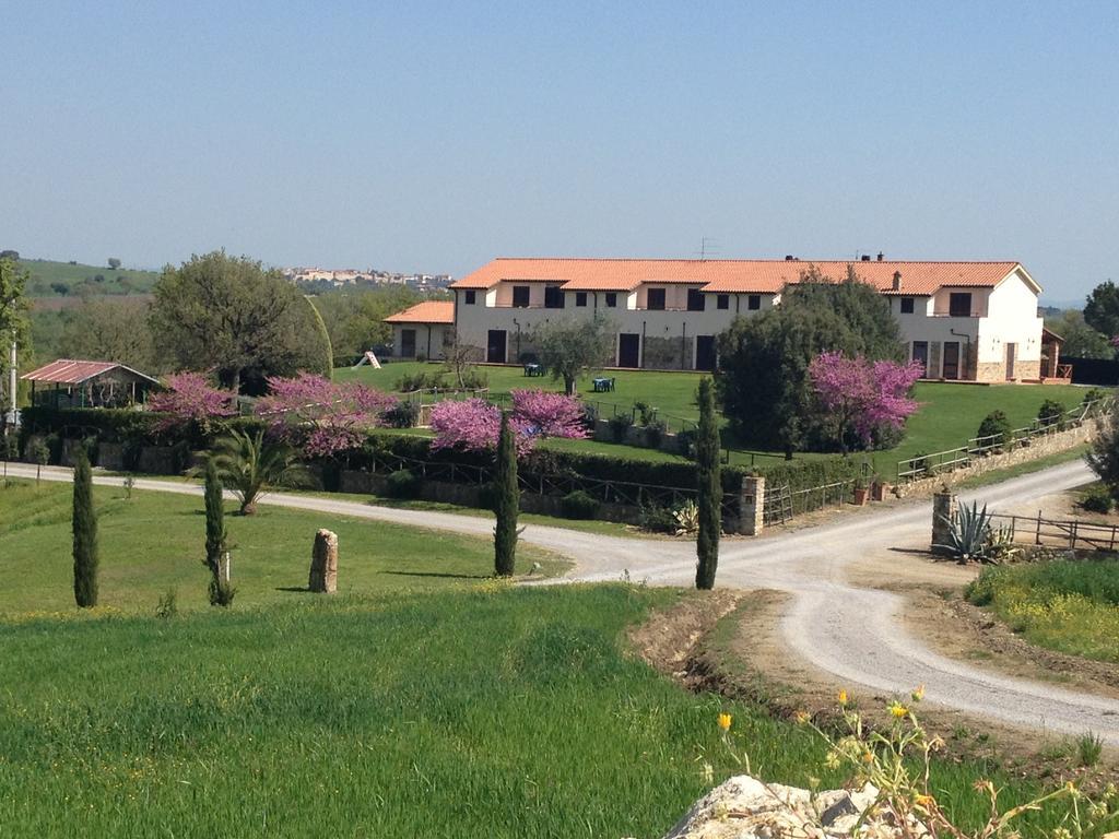 I Puntoni Agriturismo Magliano in Toscana Exterior foto